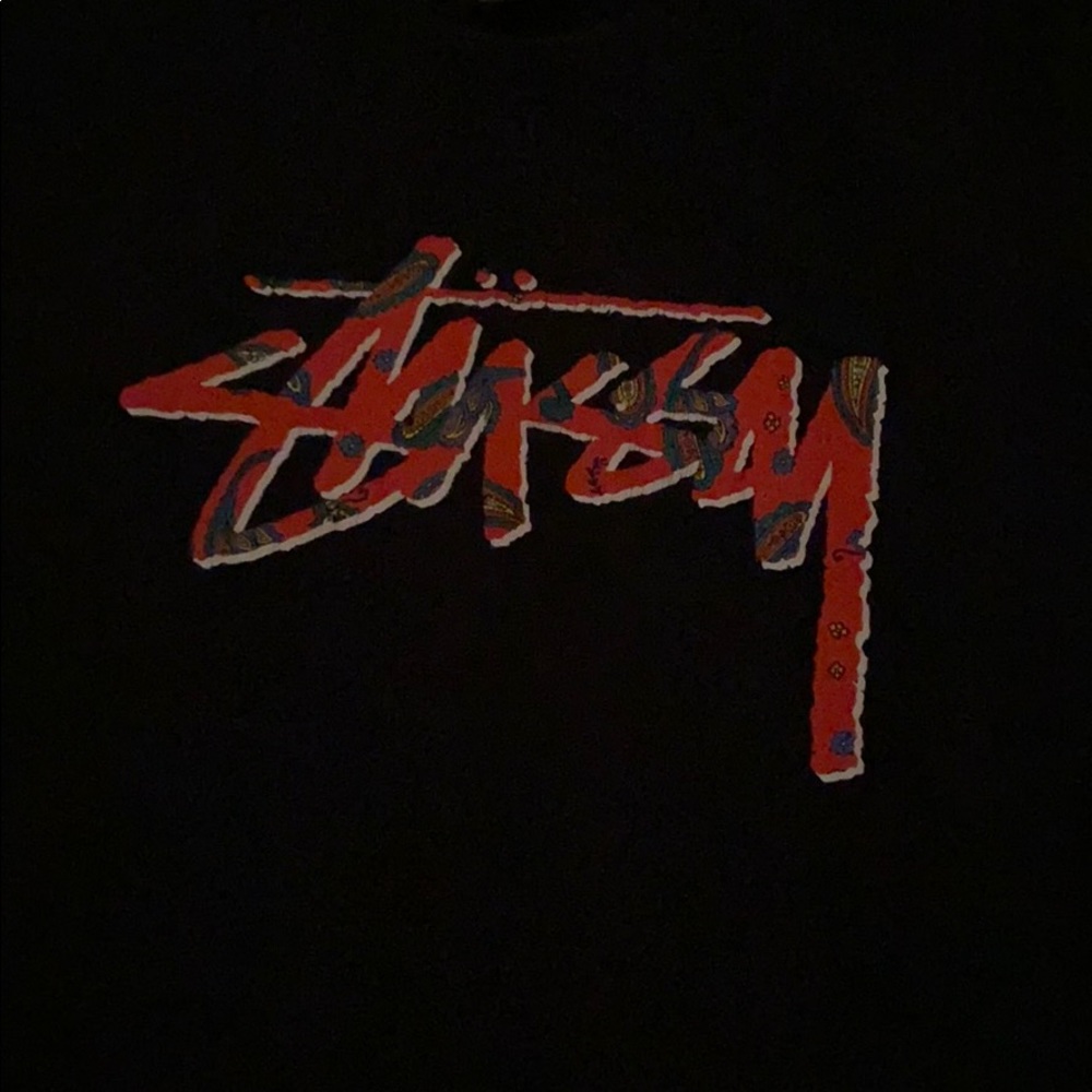 Stussy Paisley Logo Tee - Picture 2 of 3